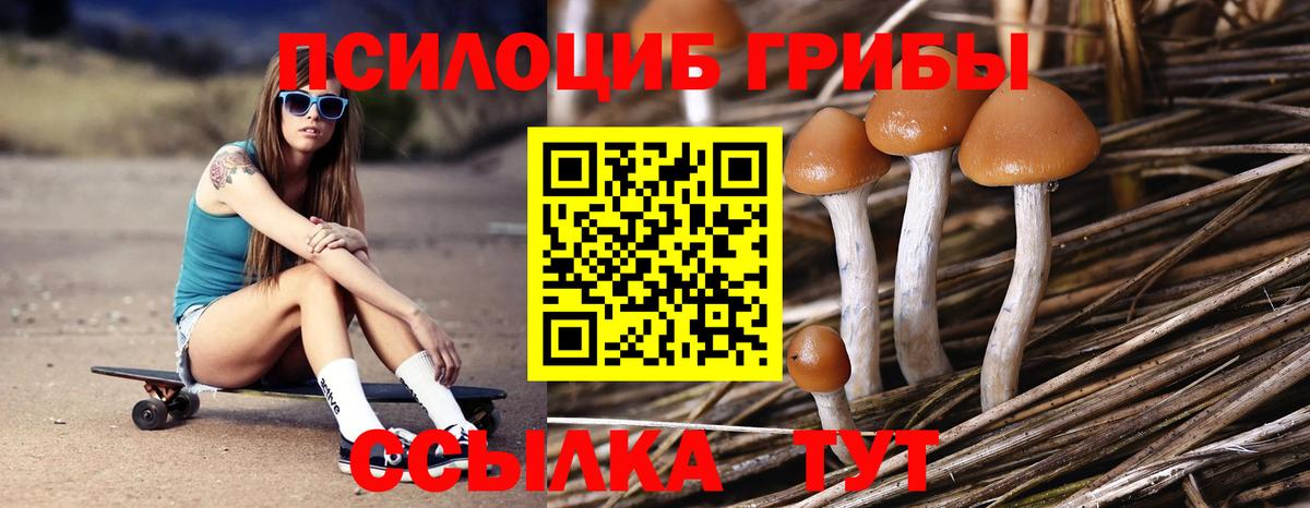 купить закладку  Галлюциногенные грибы GOLDEN TEACHER  Вход с VPN  Губаха 